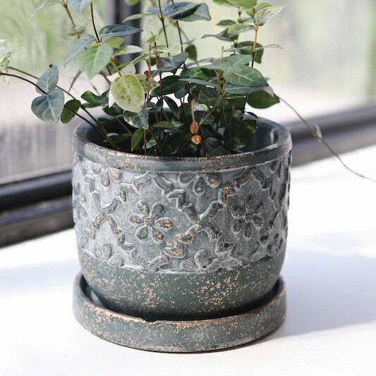 楽天市場】植木鉢 おしゃれ アンティーク 陶器鉢 アイビーラウンド