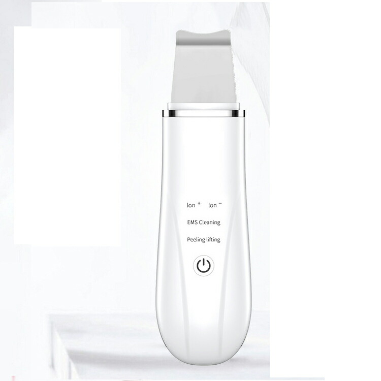 楽天市場】【店内全商品P2-20倍！】【送料無料】 プテロ putelo