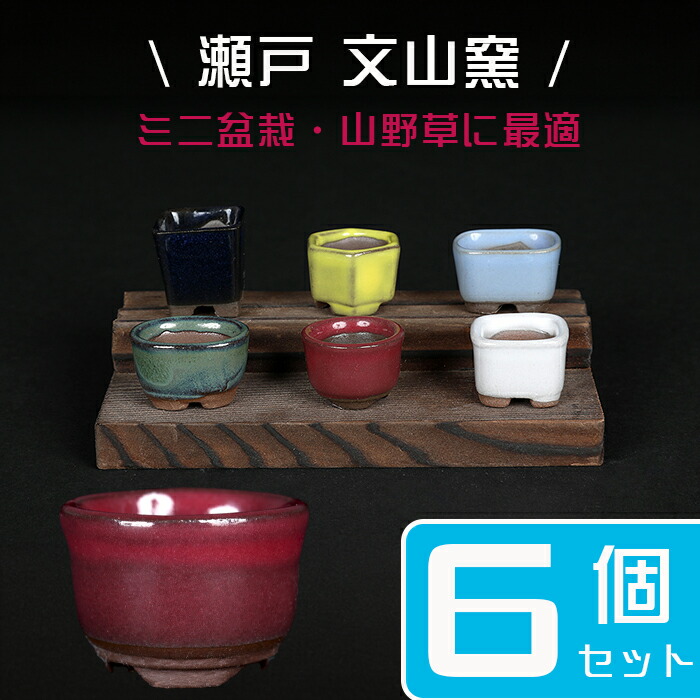 是好 ミニ盆栽鉢 丸 絵鉢 是好絵付丸鉢 | 盆栽、盆栽書籍、盆栽鉢の