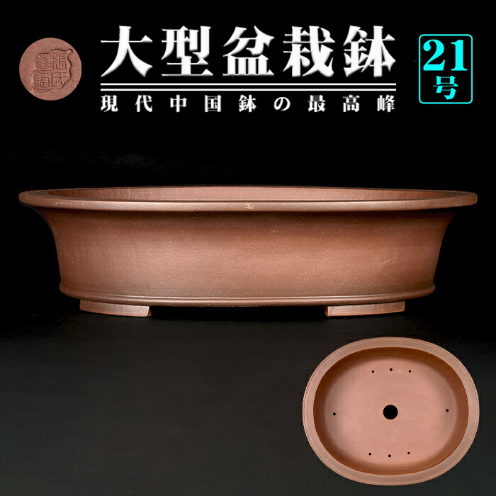 紫峰盆栽 中国宜興 朱泥木瓜鉢