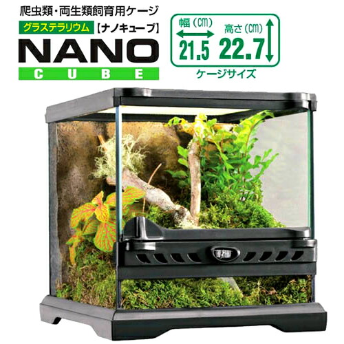 楽天市場】GEX グラステラリウム 3045 爬虫類 飼育 ケージ ガラス