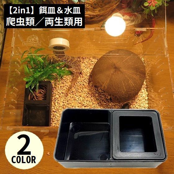 楽天市場】送料無料 エサ入れ 餌入れ 水入れ 爬虫類用 両生類用 エサ皿