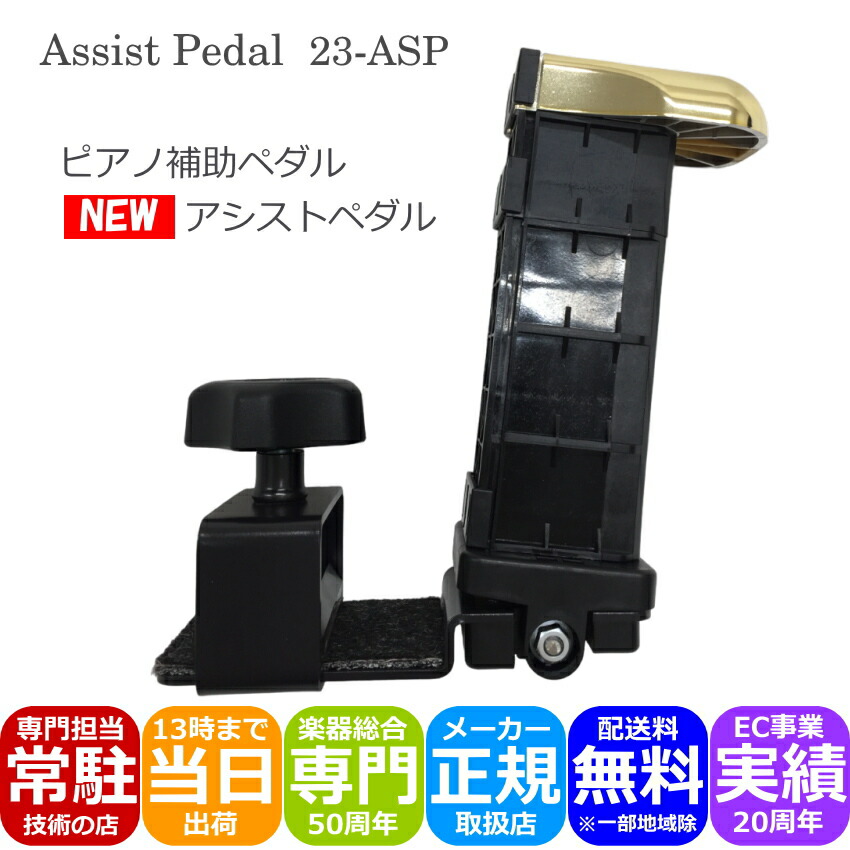 楽天市場】【単品】 ジェネピス アシストペダル 2023年モデル 標準品