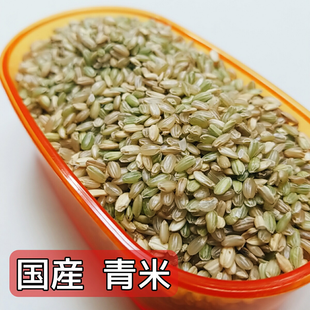 楽天市場】【国産】青米 500g くず米 小鳥のえさ 小鳥の餌 小鳥の