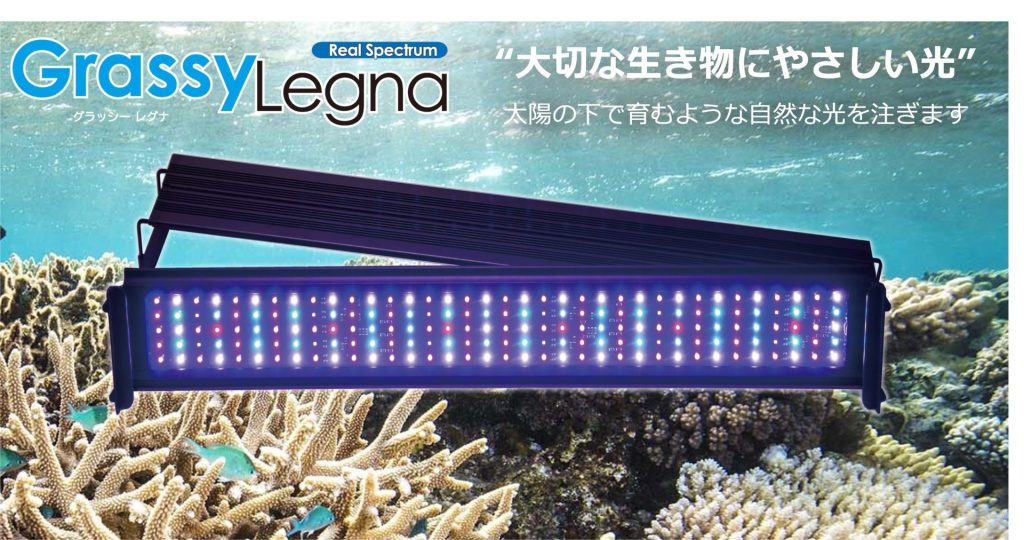 楽天市場】【全国送料無料】ボルクスジャパン グラッシーレグナマリン