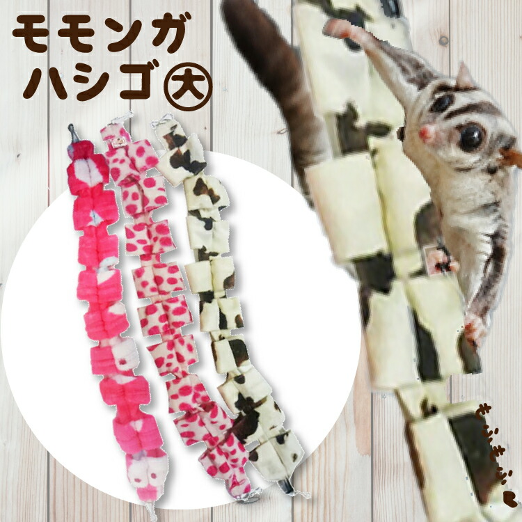 楽天市場】モモンガフード ジクラ アギト フクロモモンガ フード 1000g