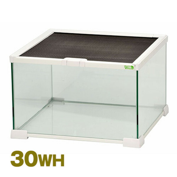 楽天市場】三晃商会 Repti wild グラスゾーン 30 ホワイト（T1