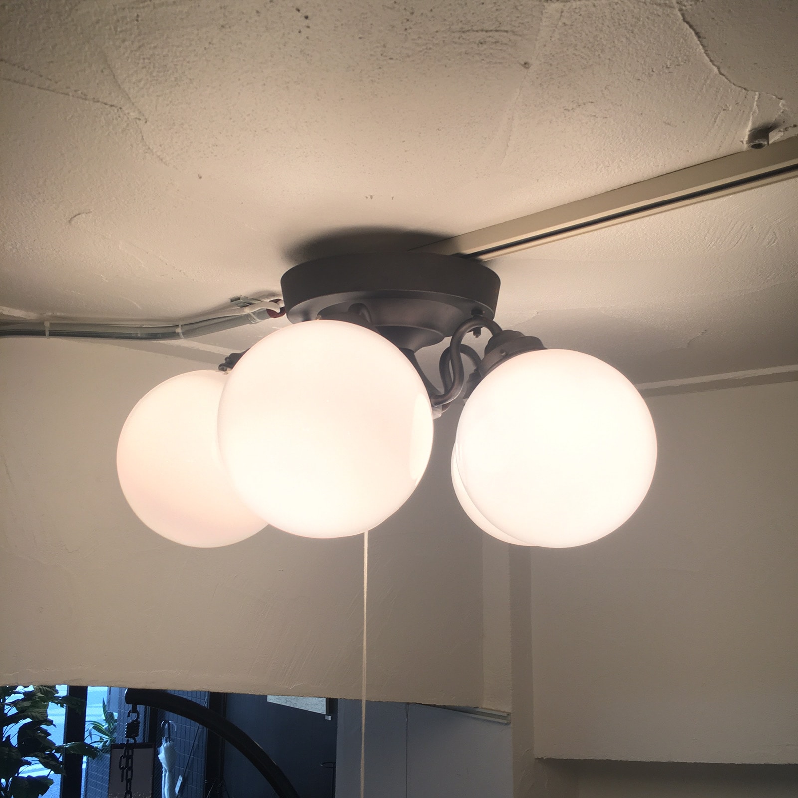 タンゴシーリングランプ 5灯 | アートワークスタジオ (ART WORK STUDIO