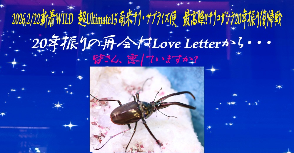 世界最高峰アルティメットミカカブクワ