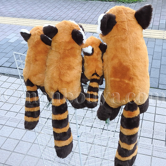 5％OFF レッサーパンダ ぬいぐるみ 動物園 おみやげ キュート販売
