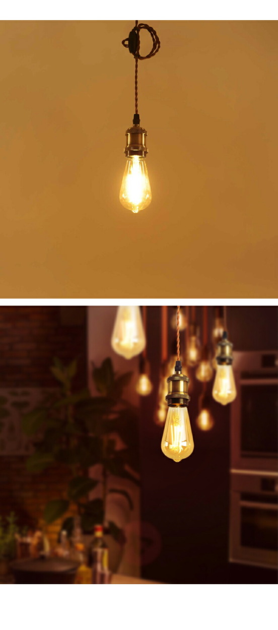 ペンダントライト 1灯セット E26 LED電球付 エジソン電球 60W形相当