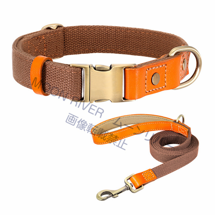 犬用 首輪 リードセット 名前入り 首輪リード 2点キット ズック首輪