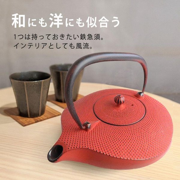 奥州 南部鉄器 急須 南部形かわせみ 6色 1.0L ホーロー加工あり 茶こし