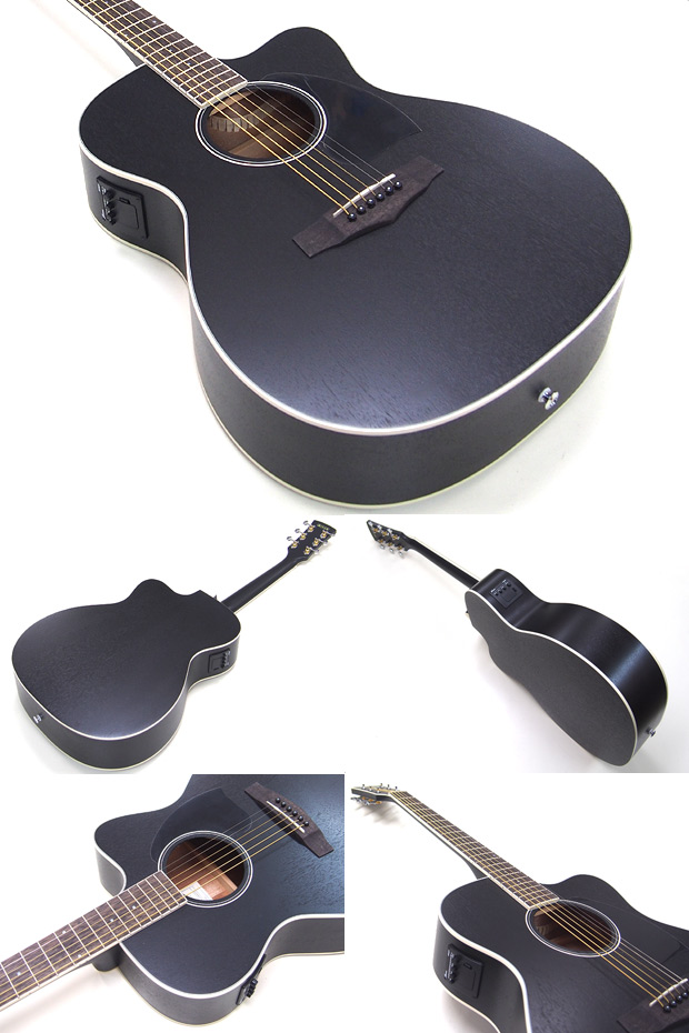 定番，定番人気 【J】Ibanez EW20KOENT1201 エレアコ ギター
