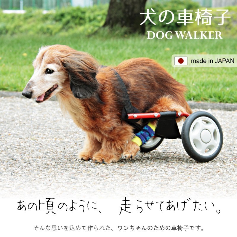 りく 犬用車椅子 犬の歩行器 歩行サポート 犬の車いす シニア犬