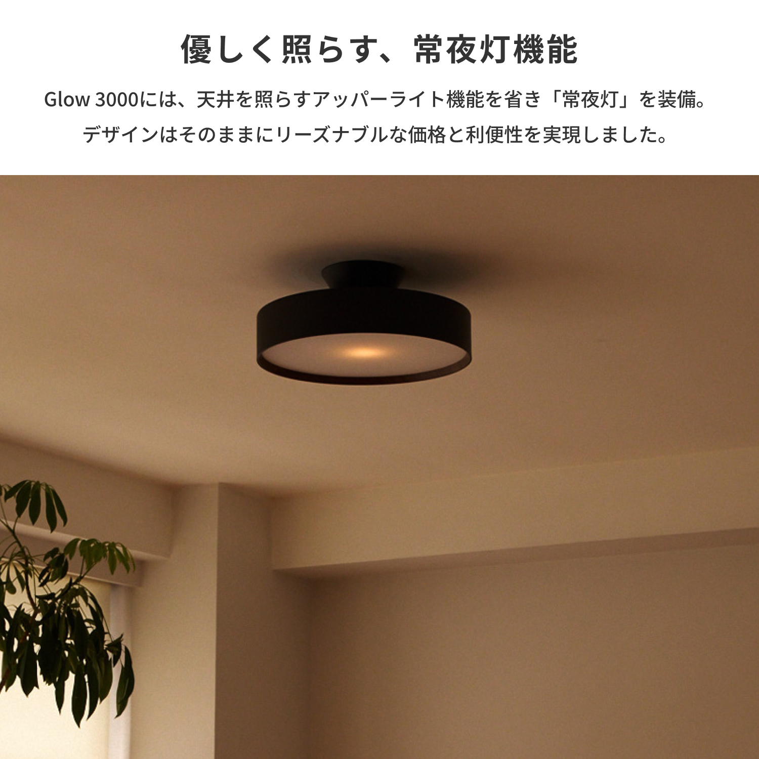 ARTWORKSTUDIO（アートワークスタジオ） シーリングライト 6畳 アート