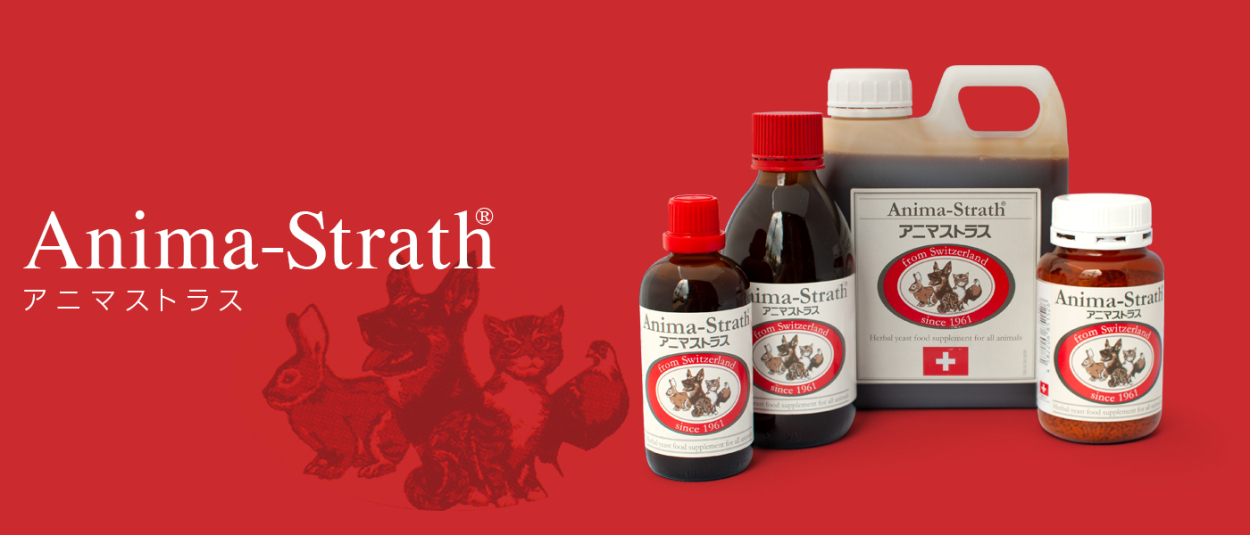 アニマストラス 顆粒 100g : albiot - 通販 - Yahoo!ショッピング