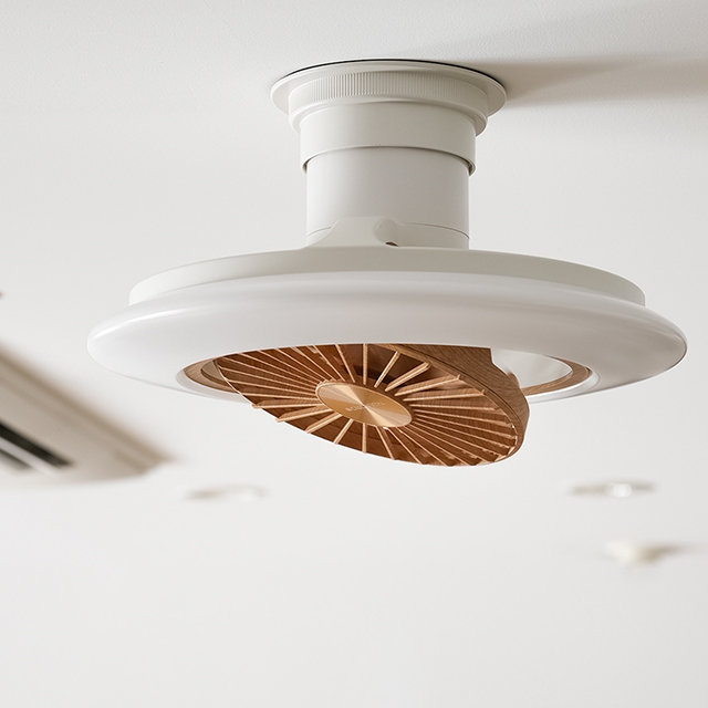 DOSHISHA（ドウシシャ） シーリングライト 選べる豪華特典 サーキュ