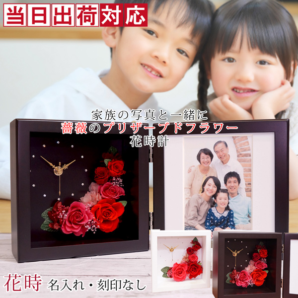 額5枚セット ニールセン NIELSEN 8x10インチ 額 楽天市場】ニールセン