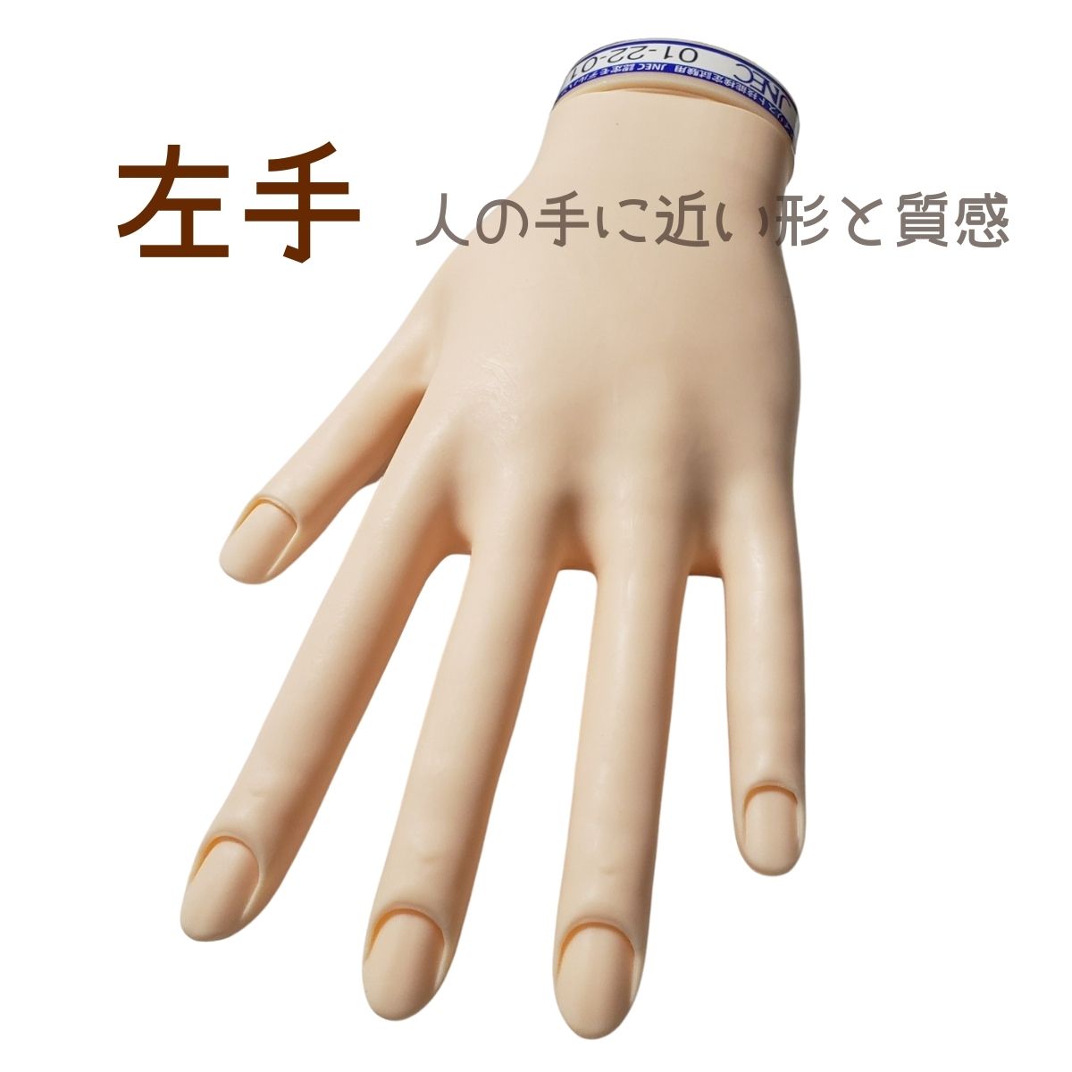 JNECネイリスト技能検定試験用 モデルハンド(骨折なし)セット 認定