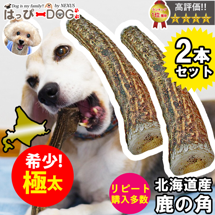ぶち 鹿の角 (特大～大サイズ)犬用おもちゃ ランダム 2kg 8本 ぶち様