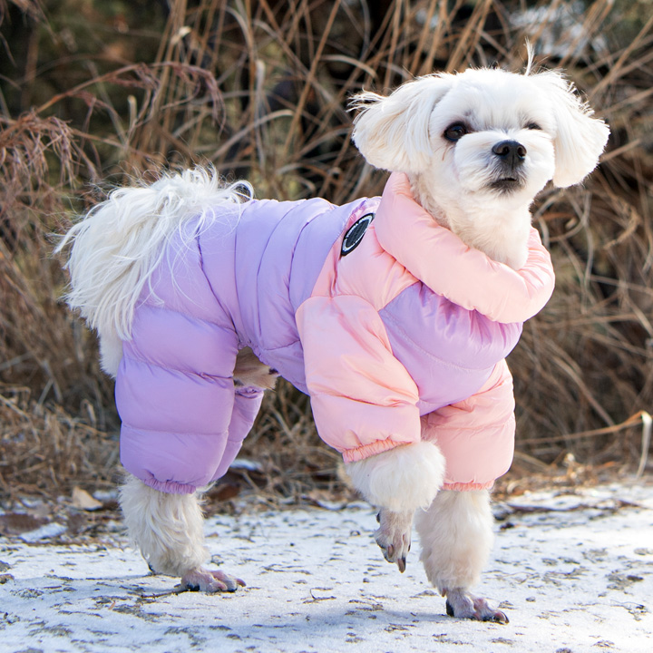 はっぴーDOG 犬 服 犬服 いぬ 犬の服 着せやすい コート アウター