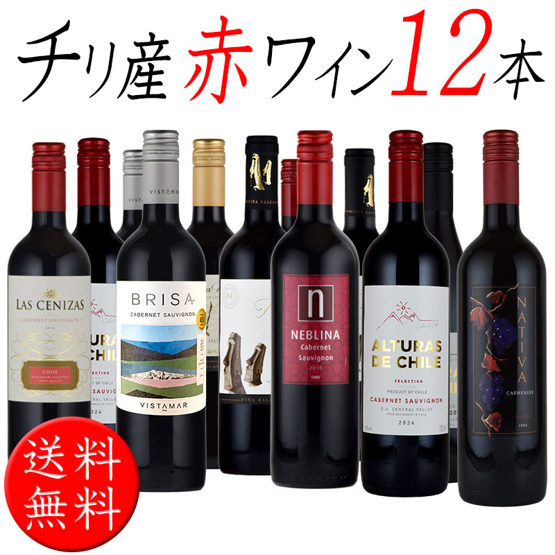 チリ産赤ワイン 12本 飲み比べセット 750ml×12本 バレンタイン : 神田