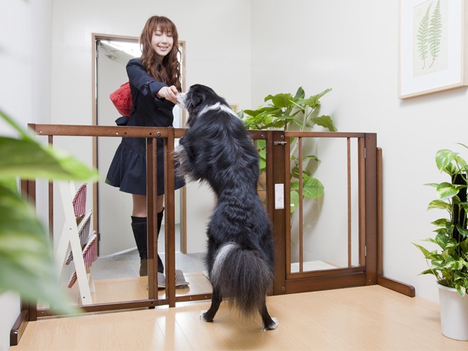 Kiinus（キーヌス） [スタンドゲートF80Aアクリル] ペットゲート 高さ