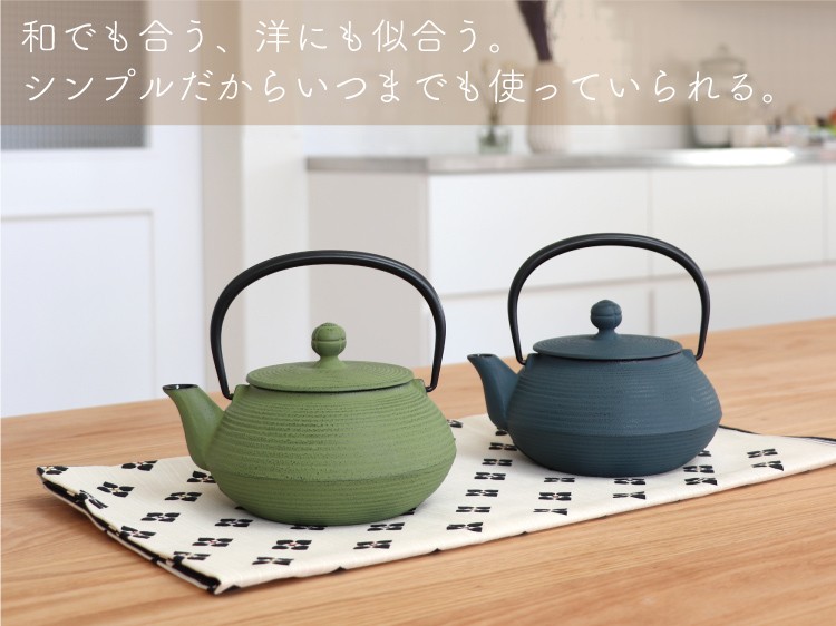 岩鋳（IWACHU） 急須 南部鉄器 ティーポット カラーポット 5型線引
