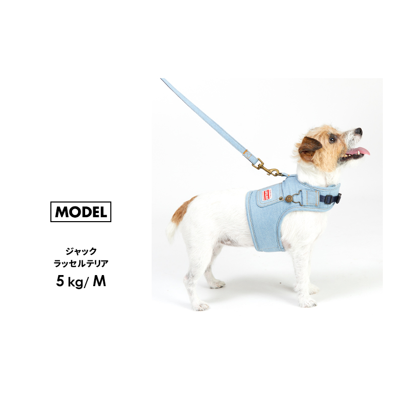 デニムハーネスS 犬 ハーネス リード付 デニム生地 小型犬 春夏 秋冬