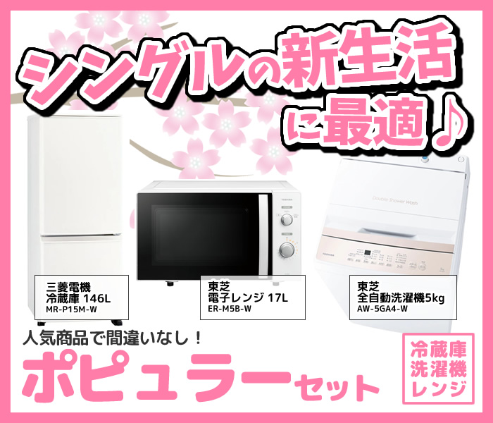 新生活 家電セット 3点 新品 冷蔵庫・洗濯機・レンジ ポピュラー