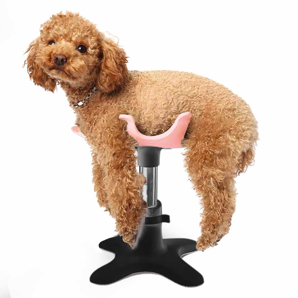 トリミング台 トリミングテーブル 犬 トリミングハンモック