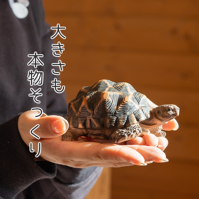 亀 置物 ガーデニング 雑貨 ガーデン オーナメント オブジェ