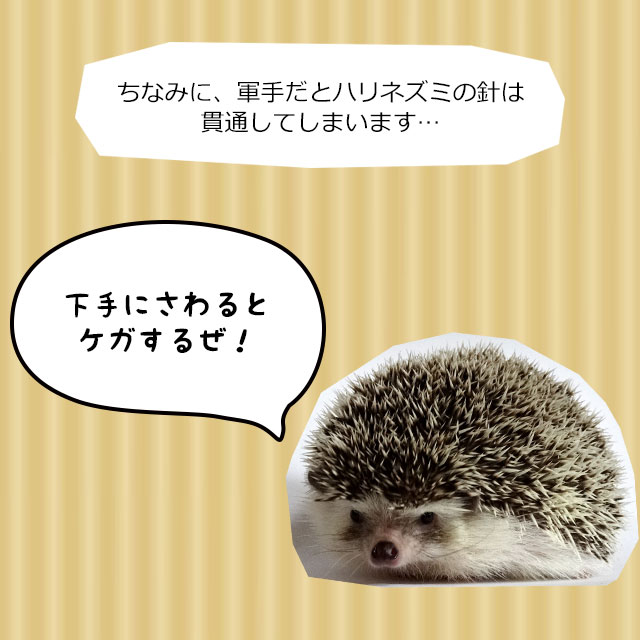 ゆうパケットOK はりねずみ用革手袋 ハリネズミを持っても痛くない