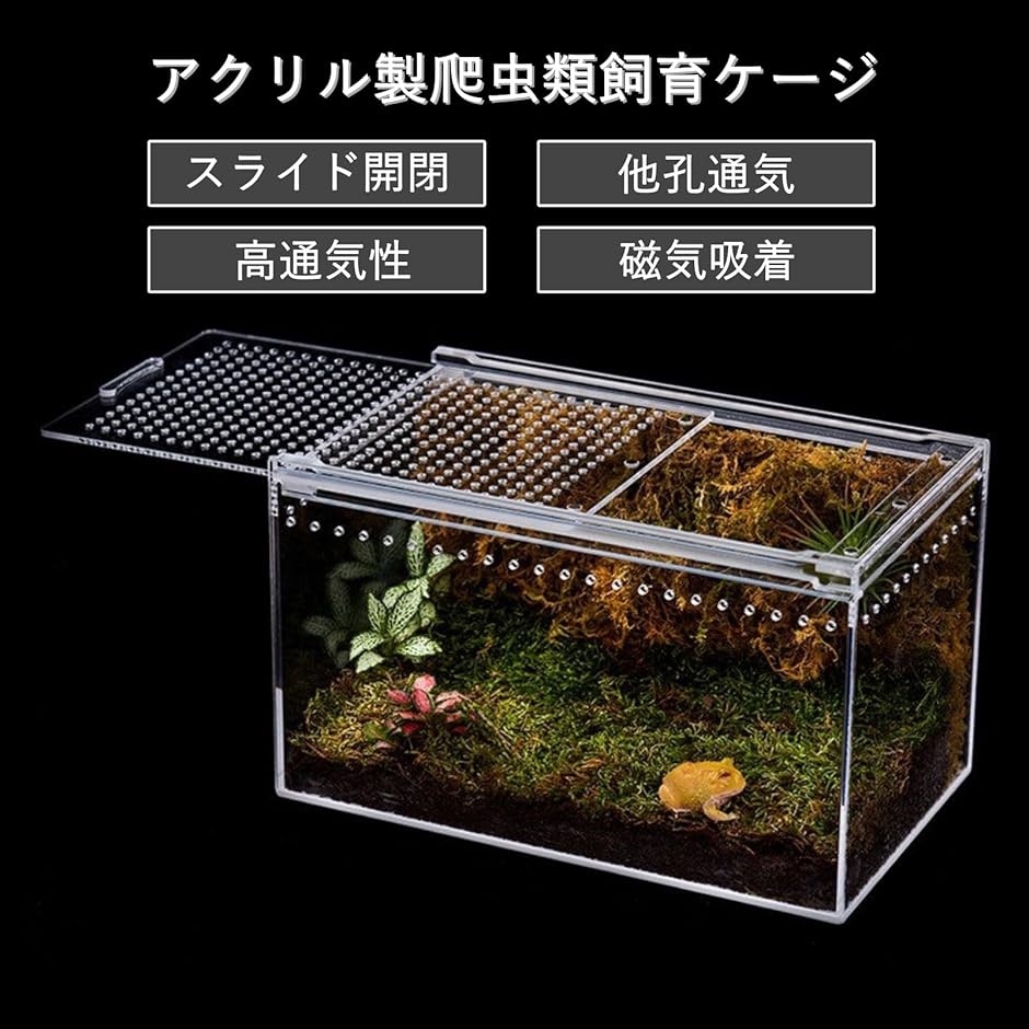 小型爬虫類飼育セット 【公式通販】 木製飼育ケージ セット ヒーター