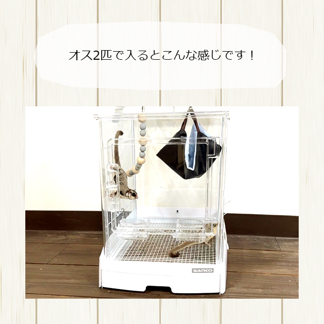 モモンガハウス(あじさい) 夏仕様 涼しい夏生地を使用❗️1600円