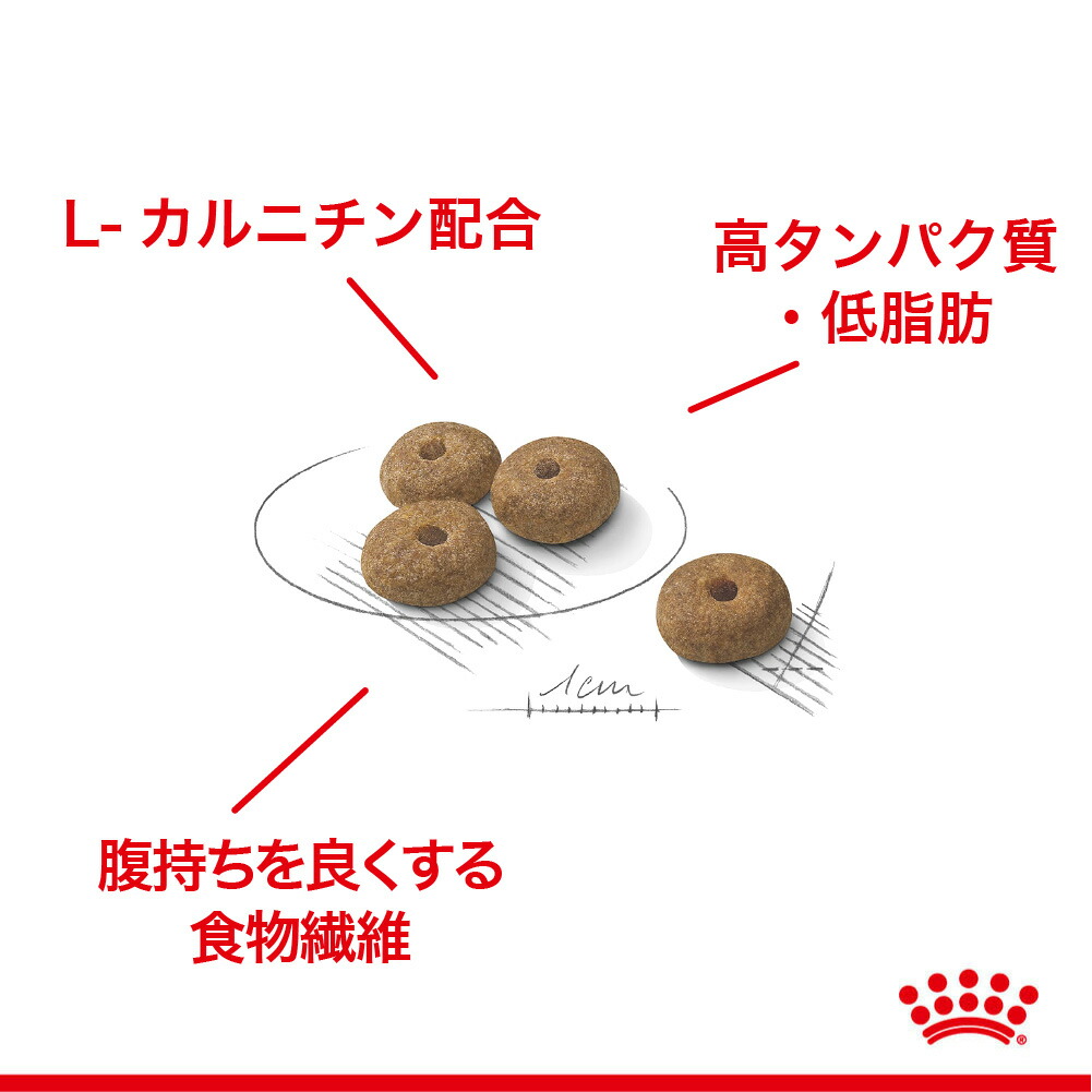 ケーナイン ケア ニュートリション 【8kg×2袋】ロイヤルカナン CCN