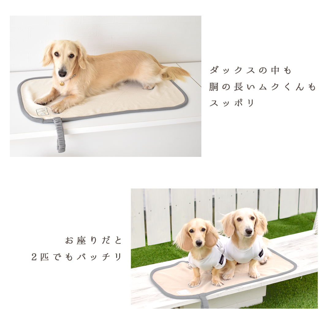 カフェマット ペット用 プリント名入れ マナー 敷物 カフェ マット