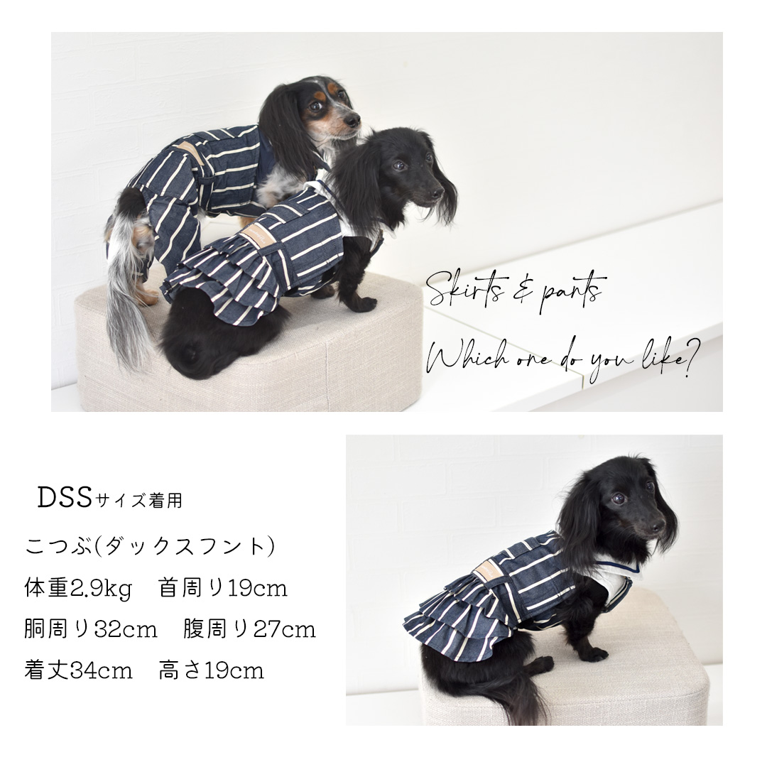 在庫処分セールの為返品交換不可)ダックスサイズ ストライプ