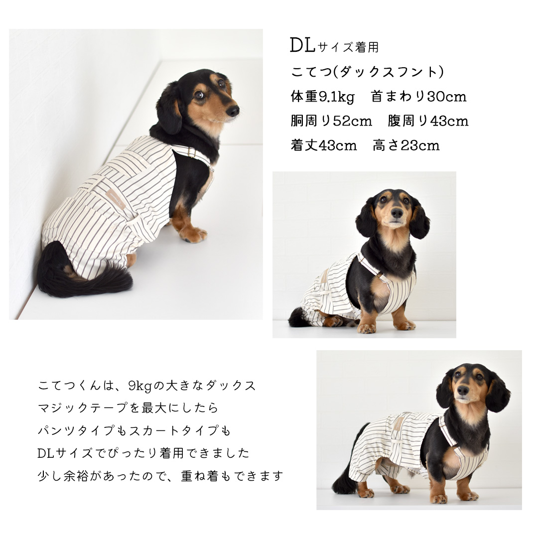 在庫処分セールの為返品交換不可)ダックスサイズ ストライプ