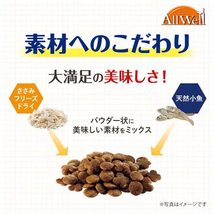 オールウェル(AllWell) キャットフード 子猫用 フィッシュ味 ( 800g