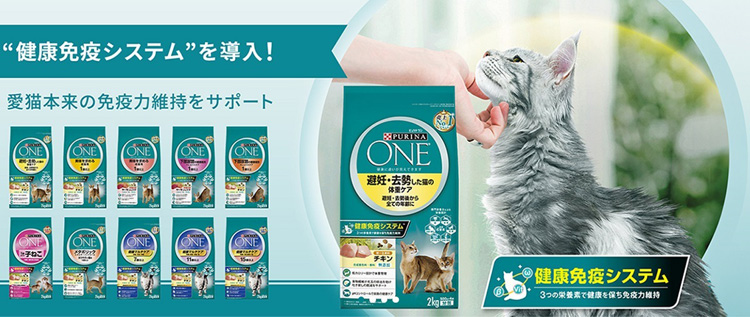 PURINA ONE 室内飼い猫用 チキン 1箱50gパウチ12袋入りx10箱 Amazon