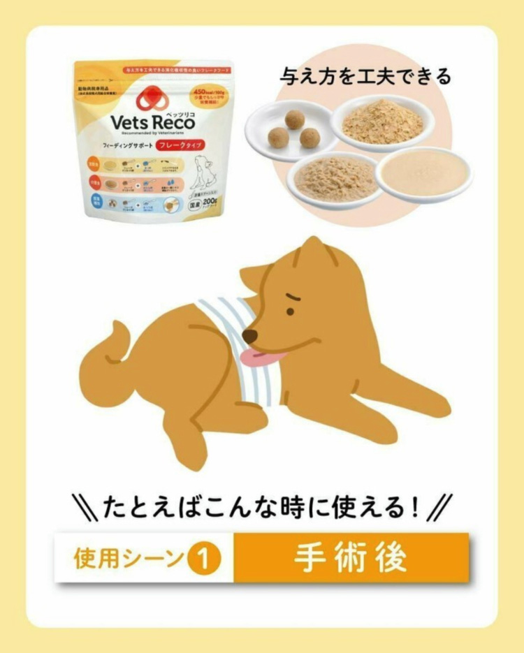 Vets Reco フィーディングサポート フレークタイプ ( 200g*10袋セット