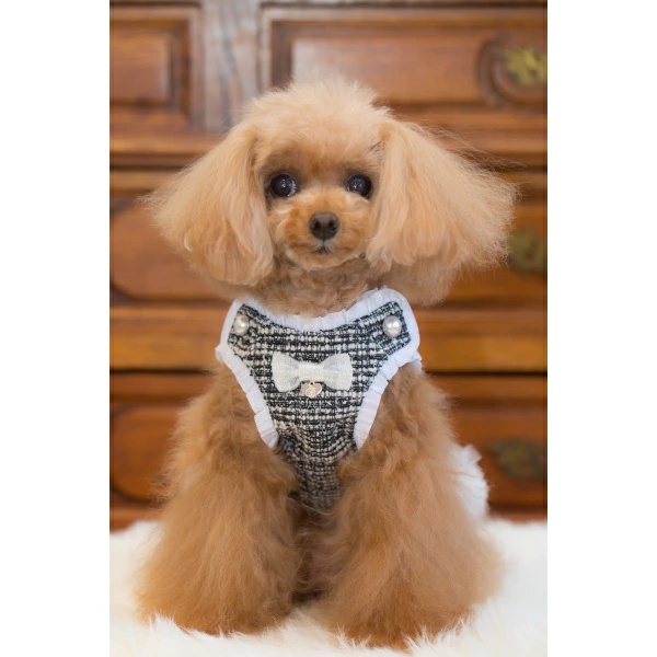 犬服 ブルブブ ワンピース、ワンピースコート 犬（わんちゃん）の洋服