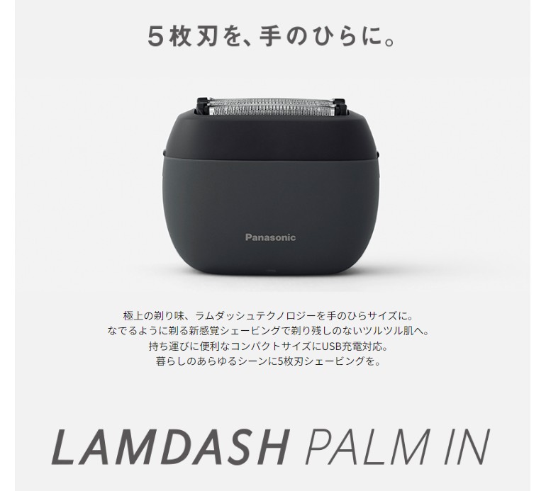 Panasonic（パナソニック） ラムダッシュ パームイン ES-PV3A-K マッド