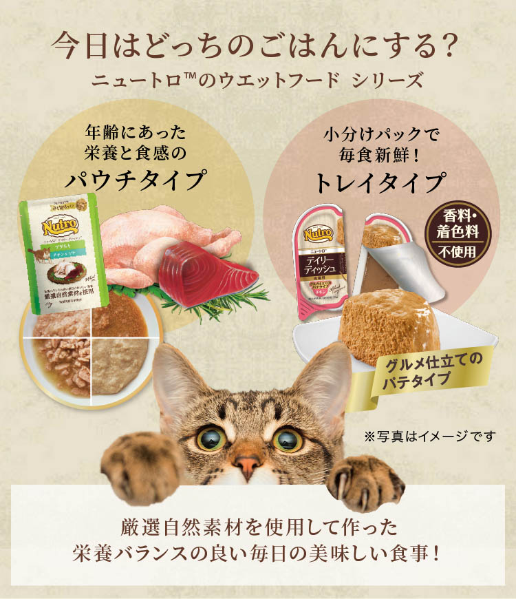 ニュートロ デイリー ディッシュ 成猫用 チキン＆ツナ ざく切りタイプ