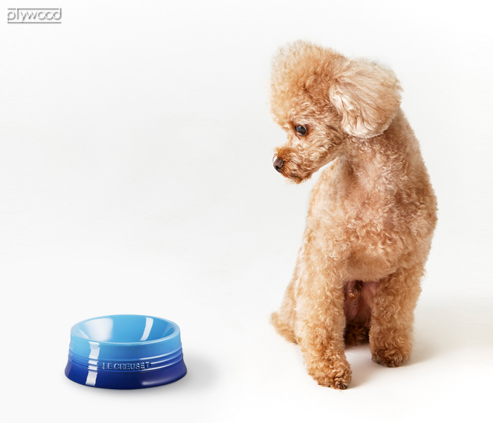 フードボウル ペット 食器 食べやすい 犬 猫 ルクルーゼ ペットボール