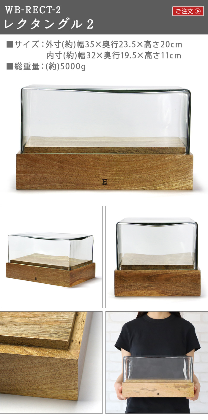 ヒア バイ ディテール グラスドーム レクタングル1 HERE by DETAIL