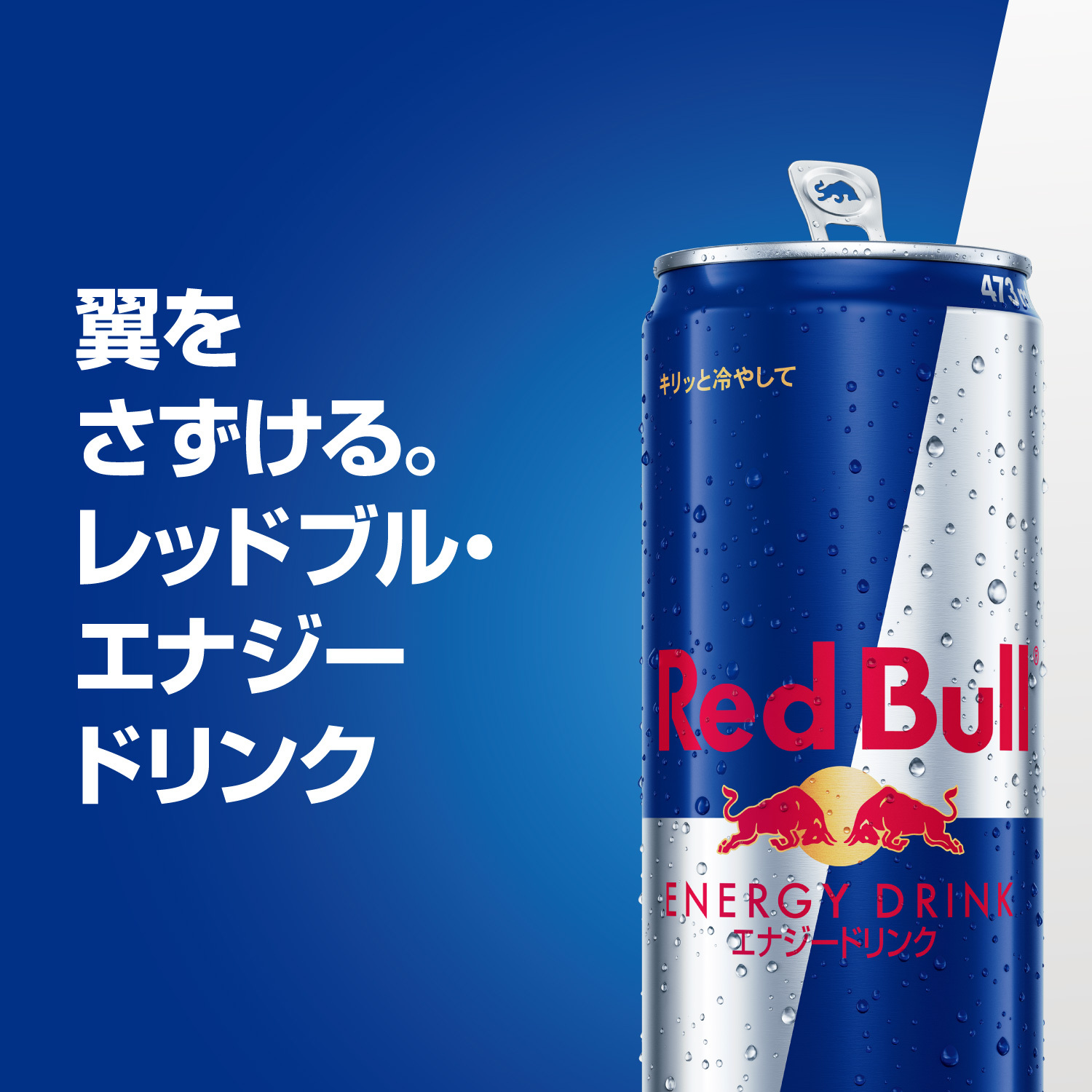 レッドブル（RedBull） 公式 エナジードリンク 473ml×12本(12本×1