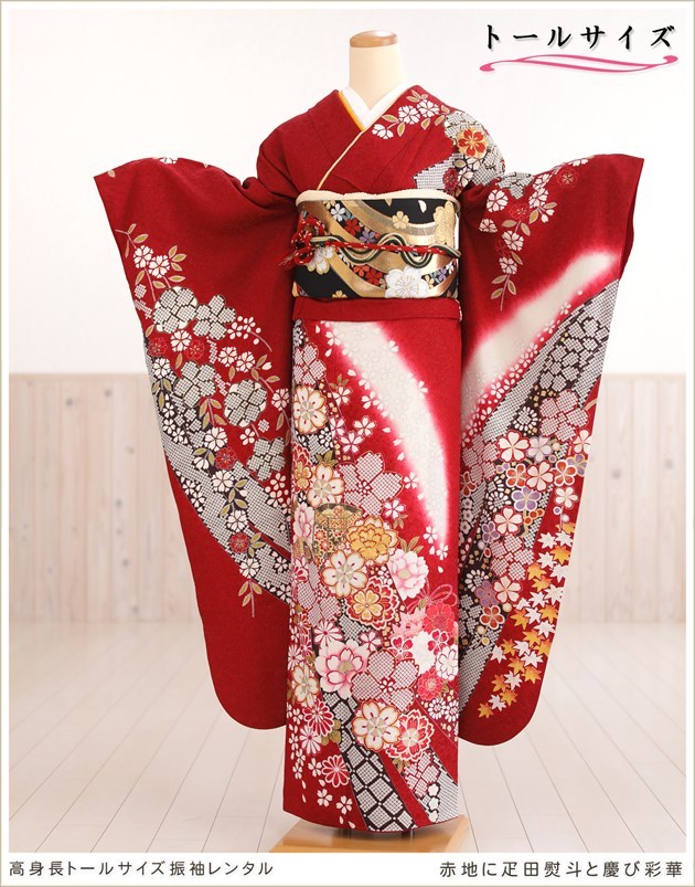 高身長トールサイズ 成人式 振袖レンタル 1月 お正月 fb1305s 振り袖